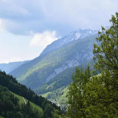 Catalpa * Le Grand-Bornand